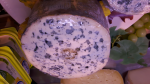 Fourme au sauterne